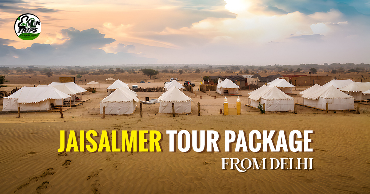 Jaisalmer weekend tour package from Delhi	